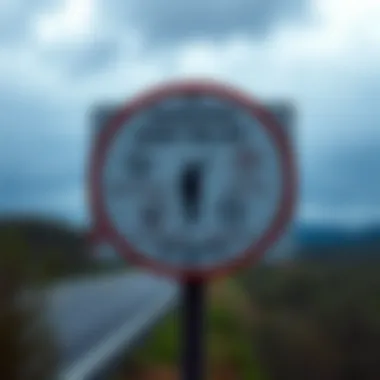 A road sign illustrating various paths to financial recovery