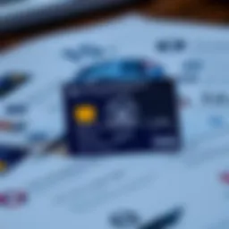 Detailed infographic showcasing credit card features
